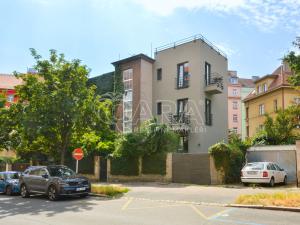 Pronájem bytu 1+kk, Praha - Nusle, Nad Nuslemi, 30 m2