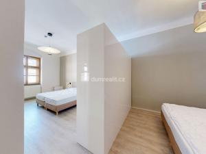 Pronájem bytu 2+kk, Opava - Město, Dolní náměstí, 95 m2