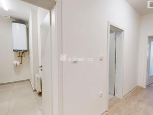 Pronájem bytu 2+kk, Opava - Město, Dolní náměstí, 95 m2