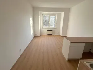Pronájem bytu 1+kk, Praha - Vinohrady, Soběslavská, 30 m2