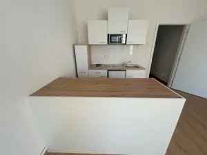 Pronájem bytu 1+kk, Praha - Vinohrady, Soběslavská, 30 m2
