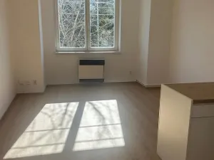 Pronájem bytu 1+kk, Praha - Vinohrady, Soběslavská, 28 m2
