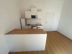 Pronájem bytu 1+kk, Praha - Vinohrady, Soběslavská, 28 m2