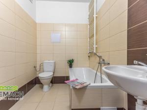 Pronájem bytu 1+kk, Náchod, Kamenice, 45 m2