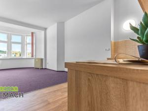 Pronájem bytu 1+kk, Náchod, Kamenice, 45 m2