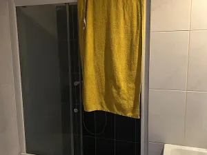 Pronájem bytu 3+kk, Praha - Dejvice, Kyjevská, 75 m2