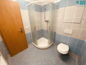 Pronájem bytu 1+1, Měřín, Náměstí, 37 m2
