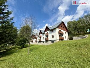 Pronájem bytu 3+kk, Vítkovice, 74 m2