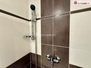 Pronájem bytu 3+kk, Vítkovice, 74 m2