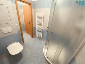 Pronájem bytu 1+kk, Měřín, Náměstí, 20 m2