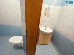Pronájem bytu 1+kk, Měřín, Náměstí, 20 m2