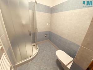 Pronájem bytu 1+kk, Měřín, Náměstí, 20 m2