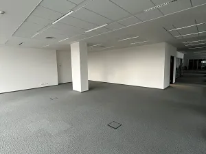 Pronájem kanceláře, Brno, Veveří, 549 m2