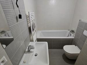 Pronájem bytu 1+kk, Brno, Milady Horákové, 41 m2