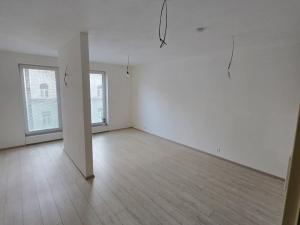 Pronájem bytu 1+kk, Brno, Milady Horákové, 41 m2