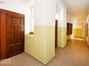 Prodej rodinného domu, Plzeň - Východní Předměstí, Slovanská, 870 m2