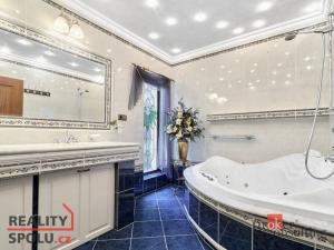 Prodej rodinného domu, Karlovy Vary - Tašovice, Česká, 388 m2