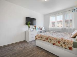 Pronájem bytu 2+1, Uherské Hradiště, Mánesova, 57 m2