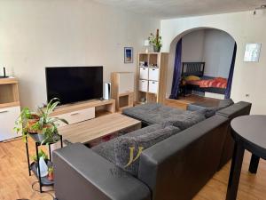 Pronájem bytu 1+1, Olomouc, Ztracená, 55 m2