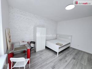 Pronájem bytu 1+kk, Lužná, Nová, 22 m2