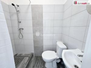 Pronájem bytu 1+kk, Lužná, Nová, 22 m2