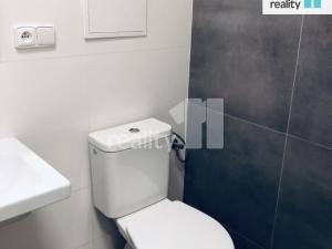 Pronájem bytu 2+kk, Praha - Dejvice, Vostrovská, 42 m2