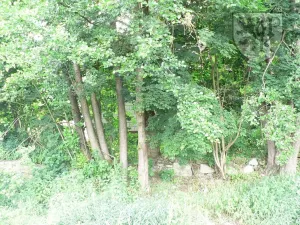 Prodej rodinného domu, Bezdědovice, 170 m2