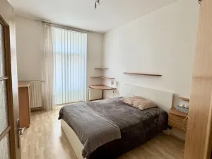 Prodej činžovního domu, Litoměřice - Předměstí, Palachova, 270 m2
