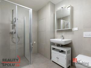 Pronájem bytu 1+kk, Opava - Předměstí, Císařského pluku, 34 m2