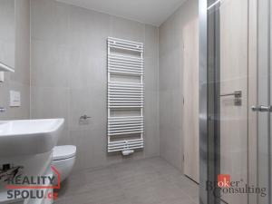 Pronájem bytu 1+kk, Opava - Předměstí, Císařského pluku, 34 m2