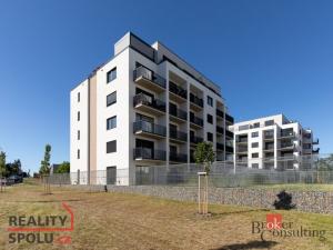 Pronájem bytu 1+kk, Opava - Předměstí, Císařského pluku, 34 m2