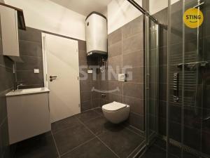 Pronájem bytu 2+kk, Třešť, Wolkerova, 52 m2