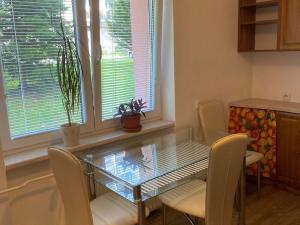 Pronájem bytu 1+1, Žďár nad Sázavou, Neumannova, 36 m2