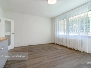 Pronájem bytu 1+kk, Plzeň, Tachovská, 27 m2