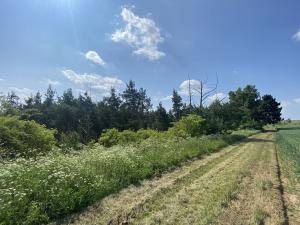 Prodej lesa, Slavičky - Pozďátky, 6551 m2