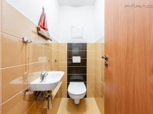 Pronájem bytu 2+kk, Praha - Libeň, U Slovanky, 60 m2