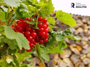 Prodej rodinného domu, Podbořany, Švermova, 157 m2