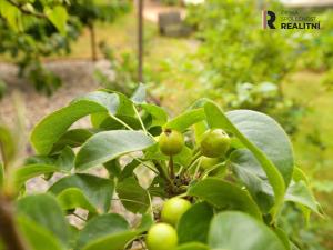 Prodej rodinného domu, Podbořany, Švermova, 157 m2