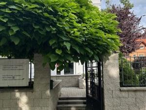 Pronájem obchodního prostoru, Teplice, K. J. Erbena, 100 m2