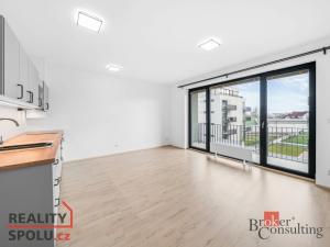 Pronájem bytu 1+kk, Plzeň - Jižní Předměstí, Železná, 36 m2