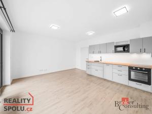 Pronájem bytu 1+kk, Plzeň - Jižní Předměstí, Železná, 36 m2