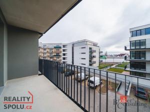 Pronájem bytu 1+kk, Plzeň - Jižní Předměstí, Železná, 36 m2
