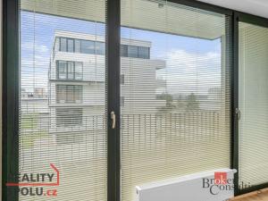 Pronájem bytu 1+kk, Plzeň - Jižní Předměstí, Železná, 36 m2