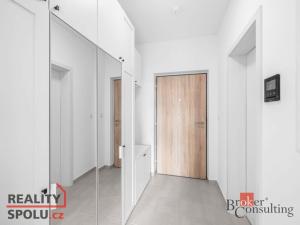 Pronájem bytu 1+kk, Plzeň - Jižní Předměstí, Železná, 36 m2
