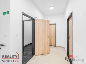 Pronájem bytu 1+kk, Plzeň - Jižní Předměstí, Železná, 36 m2