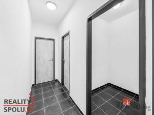 Pronájem bytu 1+kk, Plzeň - Jižní Předměstí, Železná, 36 m2