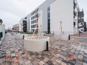Pronájem bytu 1+kk, Plzeň - Jižní Předměstí, Železná, 36 m2