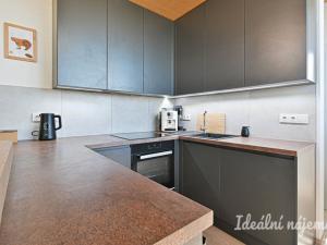 Pronájem bytu 3+kk, Brno, Mlýnská, 68 m2
