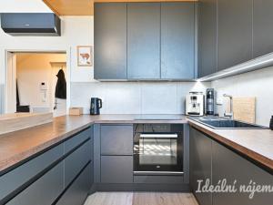 Pronájem bytu 3+kk, Brno, Mlýnská, 68 m2