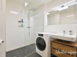 Pronájem bytu 3+kk, Brno, Mlýnská, 68 m2
